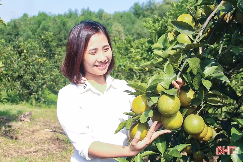 Dồn bước trước thềm năm mới 2019