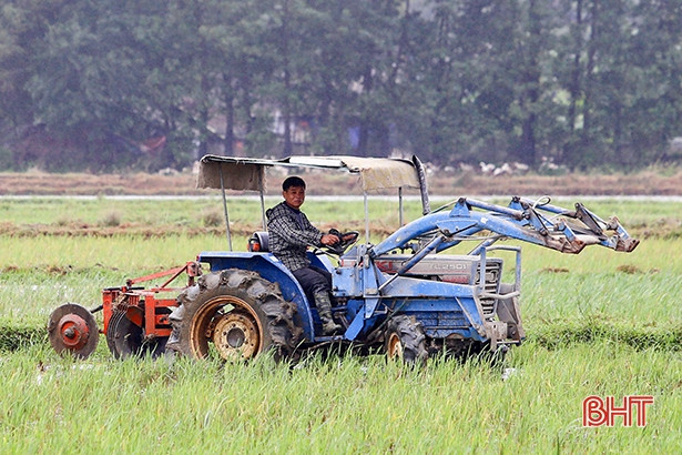 Người Hà Tĩnh chống chọi với mưa rét tăng cường