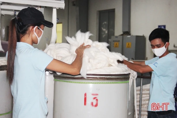 Hải quan Hà Tĩnh áp dụng đánh giá, quản lý mức độ rủi ro của doanh nghiệp