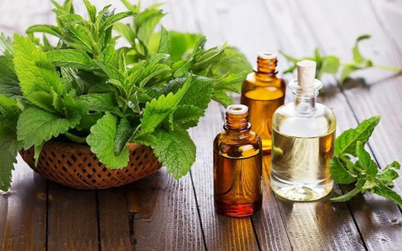 10 thói quen để tránh mắc bệnh vào mùa hè hình 8 Mách bạn 10 thói quen để tránh mắc bệnh vào mùa Hè