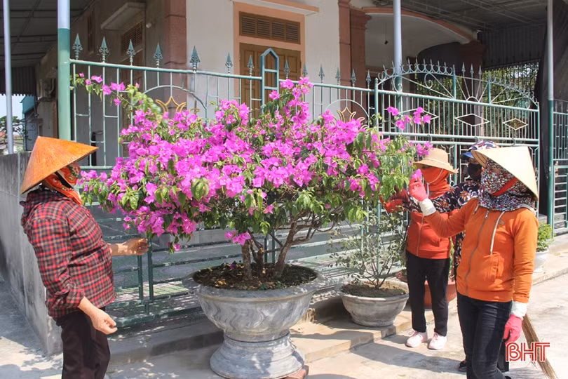 Phụ nữ vùng giáo Hà Tĩnh chung sức làm đẹp khu dân cư NTM kiểu mẫu