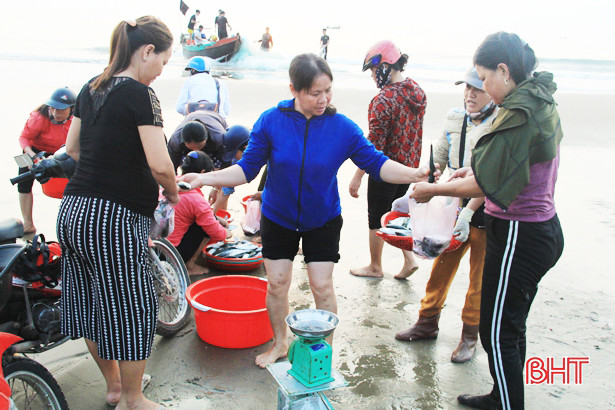 Hải sản đa dạng và được giá, ngư dân Nghi Xuân thêm vui