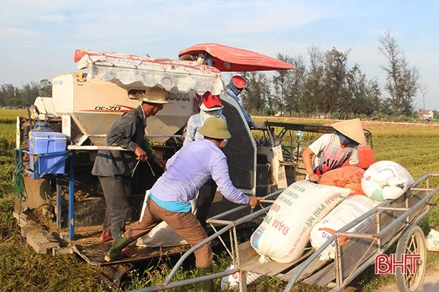 Lộc Hà “vượt ải” vụ xuân, phục hồi du lịch để tạo đà vươn tới