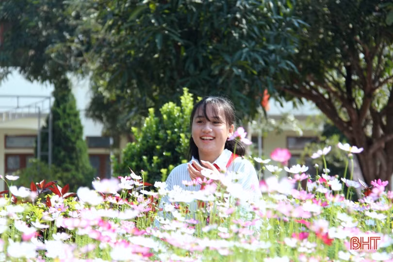 Khu vườn trường rực rỡ sắc hoa ở Hà Tĩnh