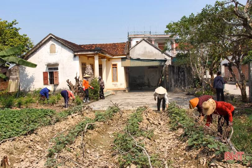 Phụ nữ vùng giáo Hà Tĩnh chung sức làm đẹp khu dân cư NTM kiểu mẫu