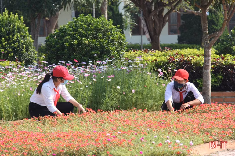 Khu vườn trường rực rỡ sắc hoa ở Hà Tĩnh