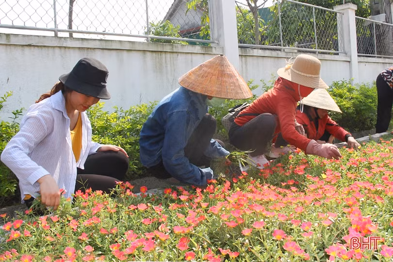 Phụ nữ vùng giáo Hà Tĩnh chung sức làm đẹp khu dân cư NTM kiểu mẫu