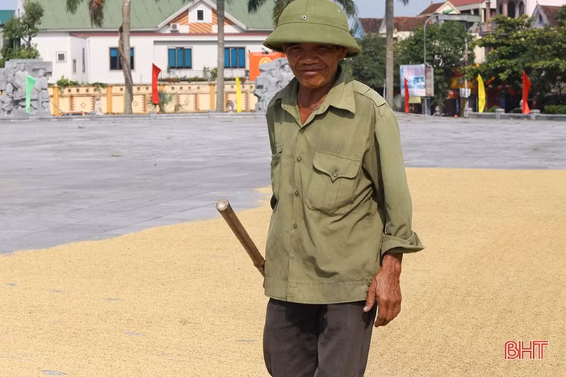 Việc “kéo” người, lao động Hà Tĩnh phơi mình dưới nắng 