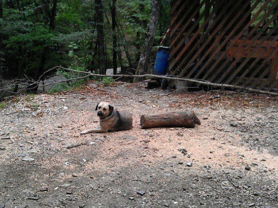 10 bức ảnh đánh lừa thị giác của bạn