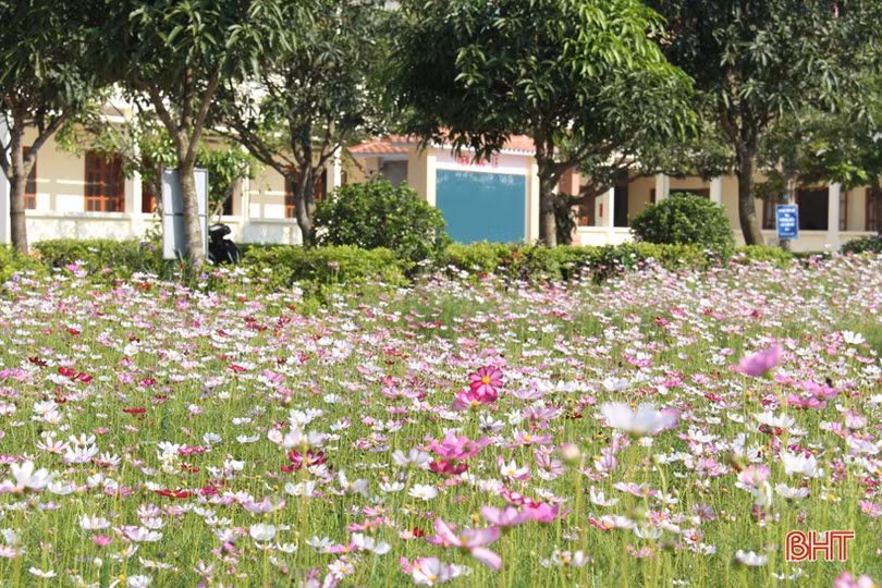 Khu vườn trường rực rỡ sắc hoa ở Hà Tĩnh