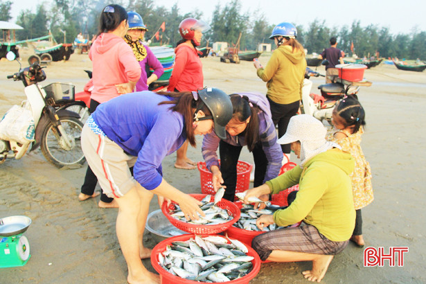 Hải sản đa dạng và được giá, ngư dân Nghi Xuân thêm vui