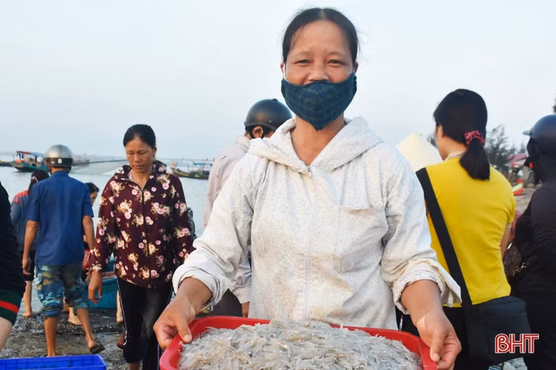 Ruốc theo từng luồng, ngư dân Cẩm Lộc phấn khởi đánh bắt