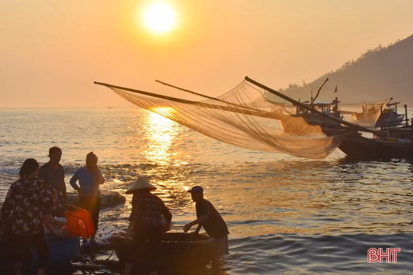 Ruốc theo từng luồng, ngư dân Cẩm Lộc phấn khởi đánh bắt