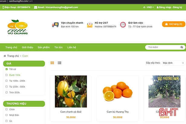 Hà Tĩnh hỗ trợ doanh nghiệp xây dựng bộ thương hiệu trực tuyến