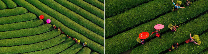 Cảnh sắc hữu tình 3 miền Việt Nam ảnh 6 Cảnh sắc hữu tình 3 miền Việt Nam