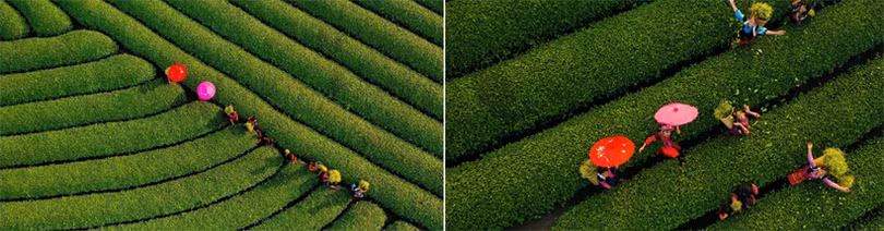 Cảnh sắc hữu tình 3 miền Việt Nam