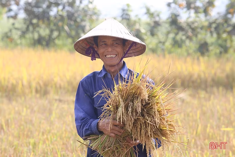 Việc “kéo” người, lao động Hà Tĩnh phơi mình dưới nắng 
