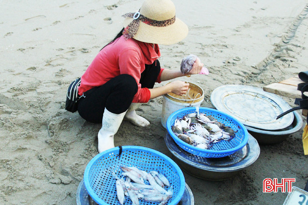 Hải sản đa dạng và được giá, ngư dân Nghi Xuân thêm vui