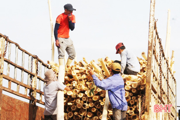 Mới đầu mùa, Hương Khê đã hứng chịu nắng nóng 40 độ C