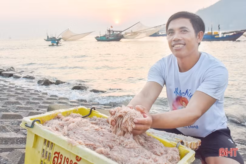 Ruốc theo từng luồng, ngư dân Cẩm Lộc phấn khởi đánh bắt