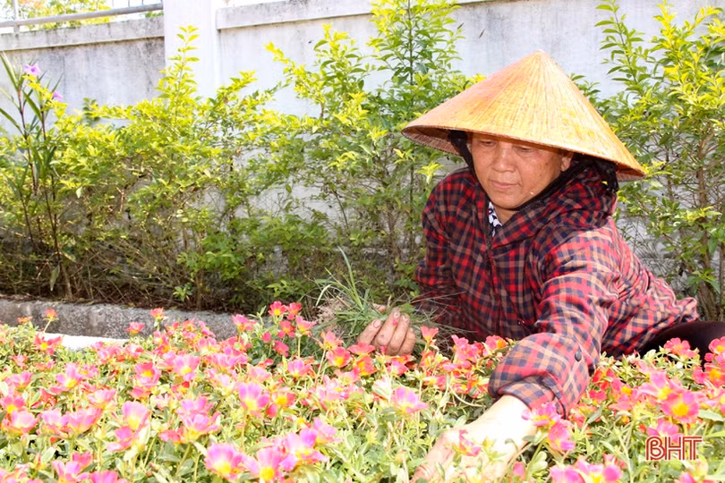 Phụ nữ vùng giáo Hà Tĩnh chung sức làm đẹp khu dân cư NTM kiểu mẫu