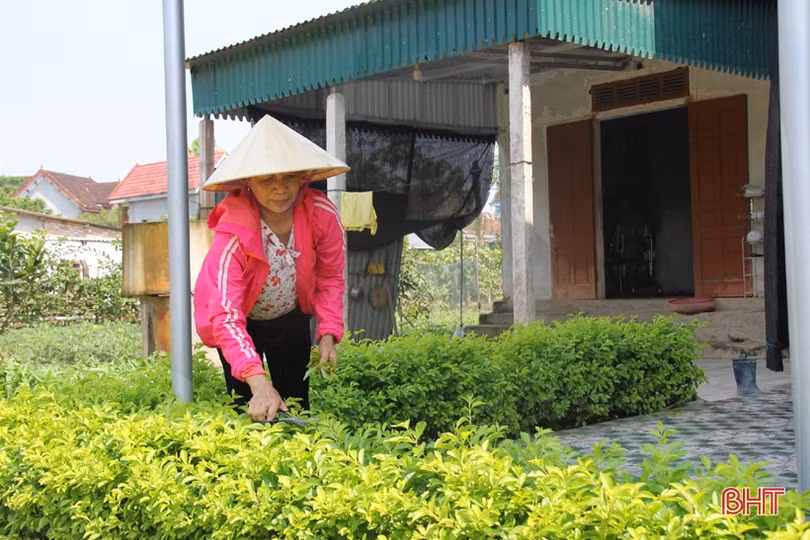 Phụ nữ vùng giáo Hà Tĩnh chung sức làm đẹp khu dân cư NTM kiểu mẫu