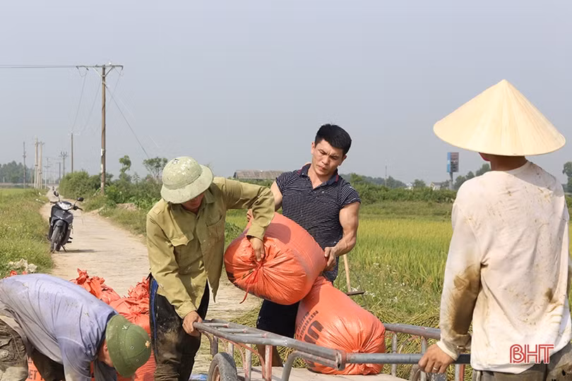 Việc “kéo” người, lao động Hà Tĩnh phơi mình dưới nắng 