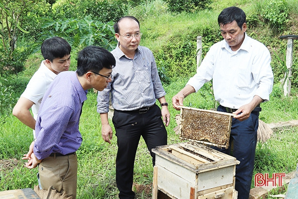 Hà Tĩnh phân bổ gần 642 tỷ đồng xây dựng nông thôn mới 