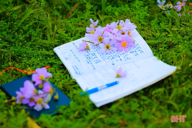 Tím biếc tháng 5 thương nhớ...!