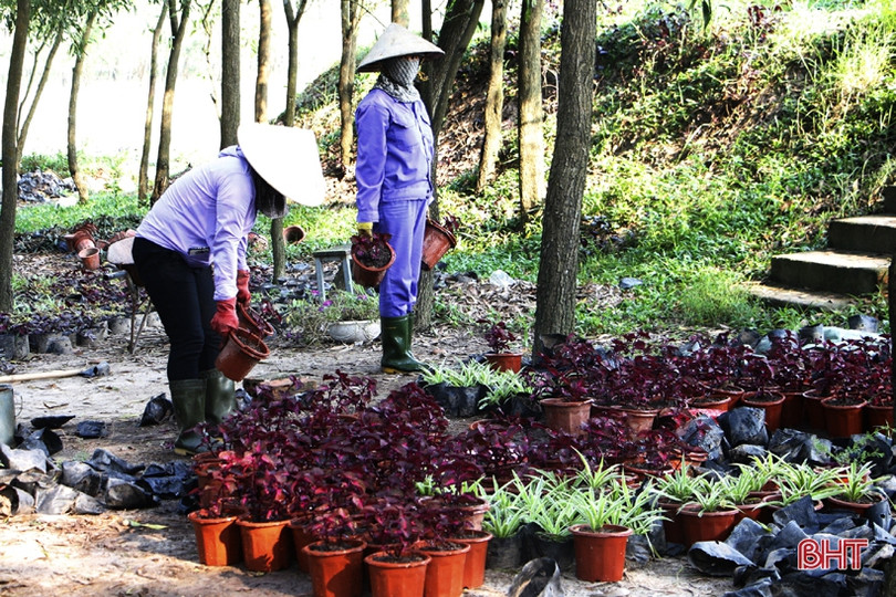 Người dân Hà Tĩnh trải nghiệm du lịch sinh thái