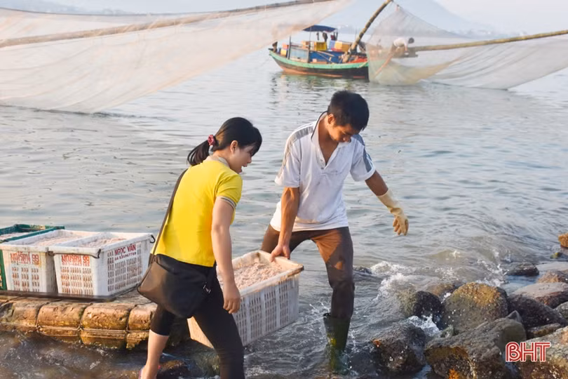 Ruốc theo từng luồng, ngư dân Cẩm Lộc phấn khởi đánh bắt