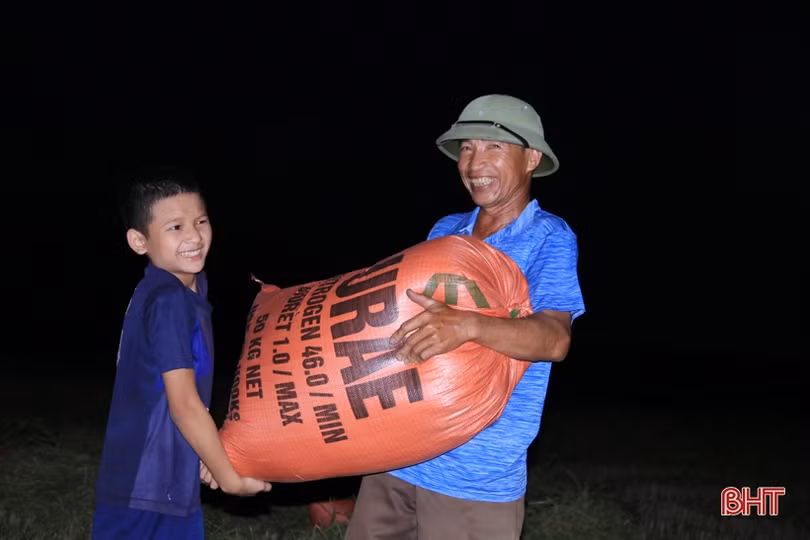 Xem nông dân Hà Tĩnh gặt lúa đêm “trốn” nóng