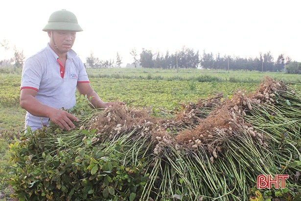Lộc Hà “vượt ải” vụ xuân, phục hồi du lịch để tạo đà vươn tới