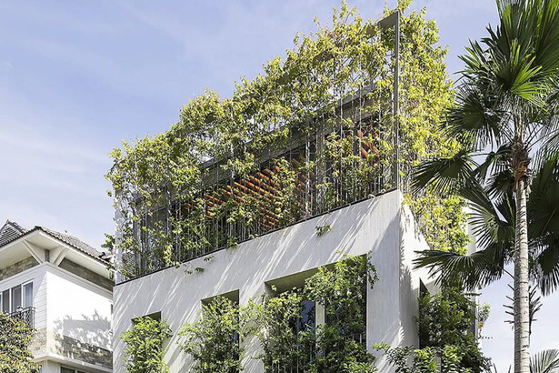 Nhờ có sân thượng trồng cây mà nhà phố xanh y như nhà vườn