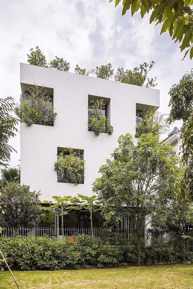 Ngôi nhà tựa như công viên với nhiều cây xanh