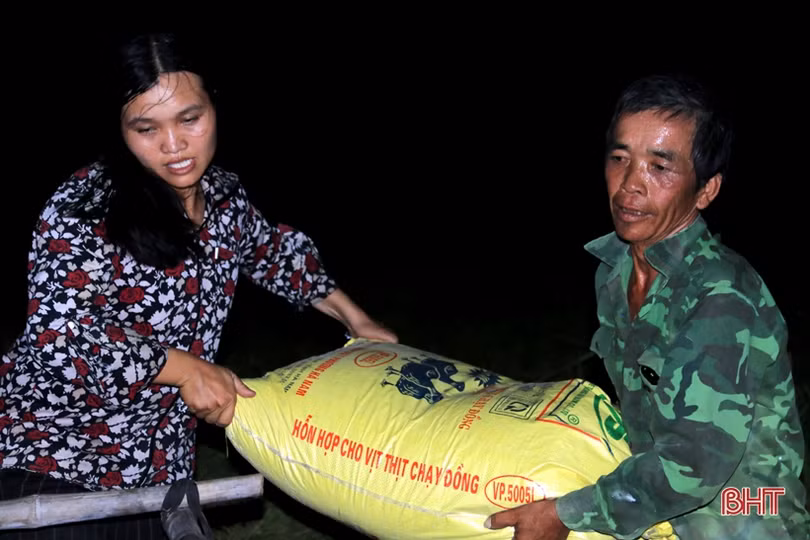 Xem nông dân Hà Tĩnh gặt lúa đêm “trốn” nóng