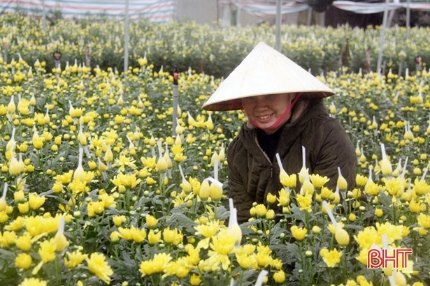 “Chìa khóa” giúp Hồng Lộc khởi sắc