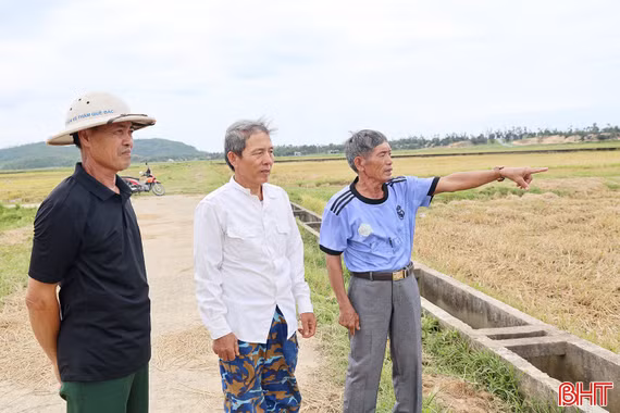 Vì sao gần 90% diện tích lúa hè thu ở Xuân Triều bị bỏ hoang?