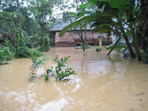 Nước ngập sâu trên 1m tại các xã vùng hạ huyện Hương Sơn Nhiều trâu bò chết Người dân xóm Thịnh Đông (Sơn Thịnh) chuyển thức ăn cho trâu bò (đã được di chuyển lên vùng núi Thiên Nhẫn) Chuyển đồ lên chạn (gác)