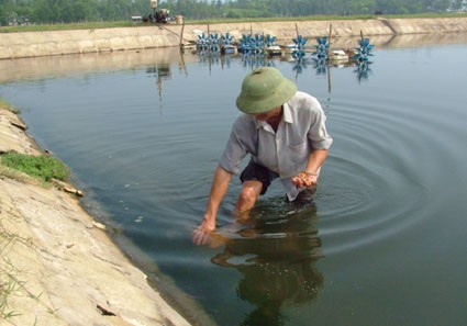 Bão lũ đi qua, xót xa ở lại...