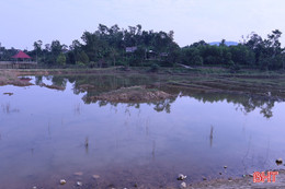 Sớm giải quyết những tồn tại của dự án kênh Cầu Động 