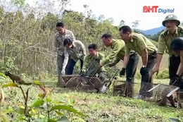 Video ghi lại cảnh 6 cá thể cầy vòi mốc được thả về tự nhiên 
