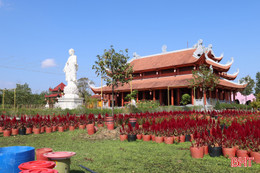 Bình yên nơi chùa Đại Giác