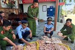 Gần 500kg chân gà, đuôi lợn "bẩn" trong kho công ty thực phẩm sạch