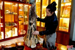 Những khối trầm “độc bản” giá hàng trăm triệu đồng ở Hà Tĩnh