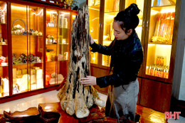 Những khối trầm “độc bản” giá hàng trăm triệu đồng ở Hà Tĩnh