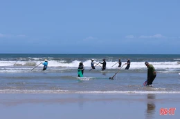 Ốc tép dạt vào bờ, ngư dân Hà Tĩnh kiếm tiền triệu mỗi ngày