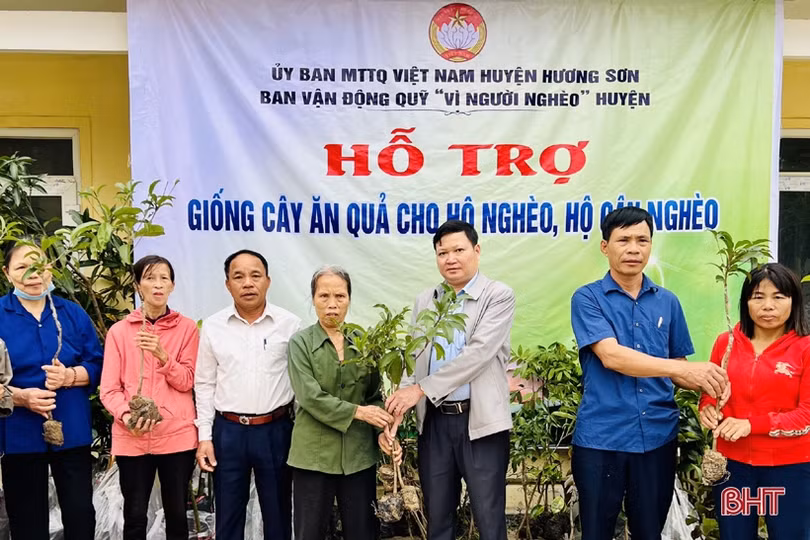 Hương Sơn hỗ trợ 2.747 giống cây ăn quả cho người dân