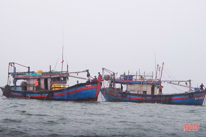Bộ đội biên phòng Hà Tĩnh bắt giữ 5 tàu giã cào khai thác hải sản trái phép