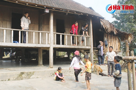 Rào Tre ngày mới ảnh 1